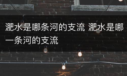 淝水是哪条河的支流 淝水是哪一条河的支流