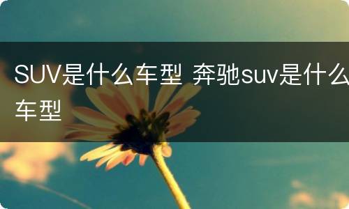 SUV是什么车型 奔驰suv是什么车型