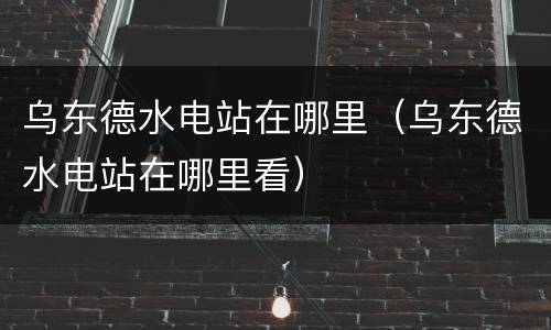 乌东德水电站在哪里（乌东德水电站在哪里看）