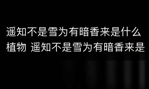 遥知不是雪为有暗香来是什么植物 遥知不是雪为有暗香来是什么植物拼音