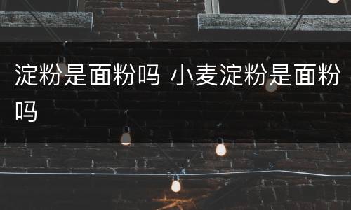 淀粉是面粉吗 小麦淀粉是面粉吗