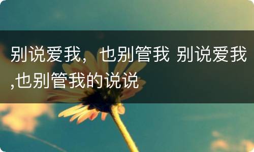 别说爱我，也别管我 别说爱我,也别管我的说说