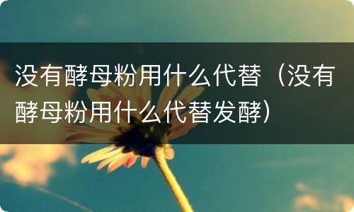 没有酵母粉用什么代替（没有酵母粉用什么代替发酵）