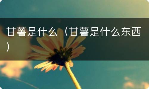 甘薯是什么（甘薯是什么东西）