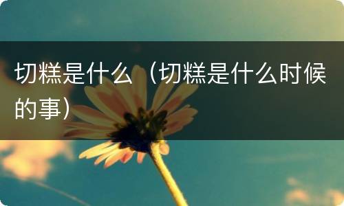 切糕是什么（切糕是什么时候的事）