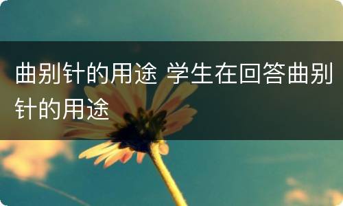 曲别针的用途 学生在回答曲别针的用途