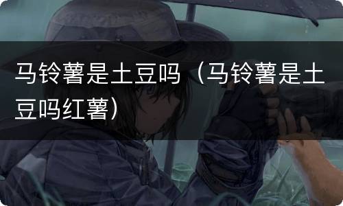 马铃薯是土豆吗（马铃薯是土豆吗红薯）