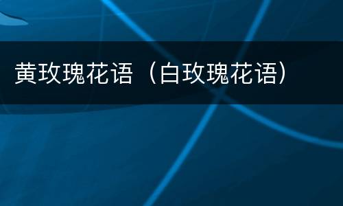 黄玫瑰花语（白玫瑰花语）