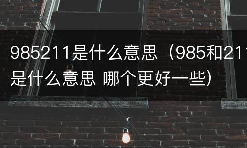 985211是什么意思（985和211是什么意思 哪个更好一些）
