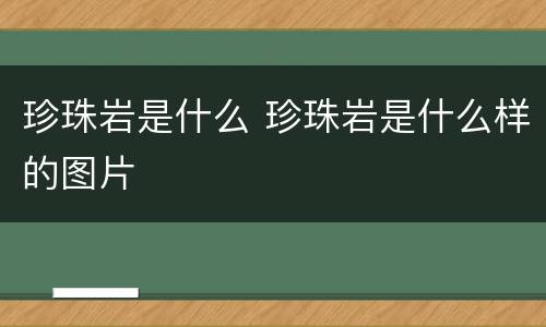 珍珠岩是什么 珍珠岩是什么样的图片
