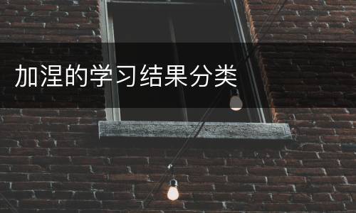加涅的学习结果分类