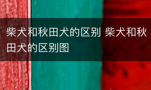 柴犬和秋田犬的区别 柴犬和秋田犬的区别图