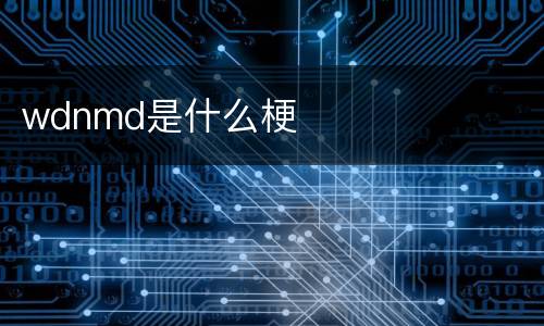 wdnmd是什么梗