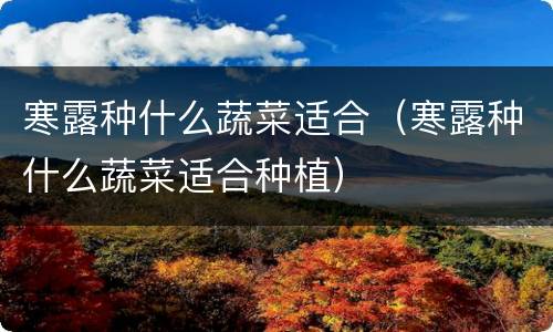 寒露种什么蔬菜适合（寒露种什么蔬菜适合种植）