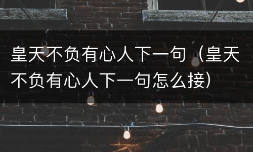皇天不负有心人下一句（皇天不负有心人下一句怎么接）