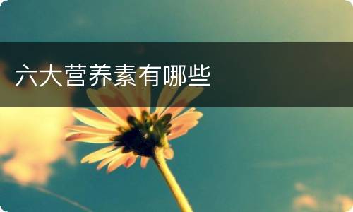 六大营养素有哪些