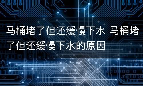 马桶堵了但还缓慢下水 马桶堵了但还缓慢下水的原因