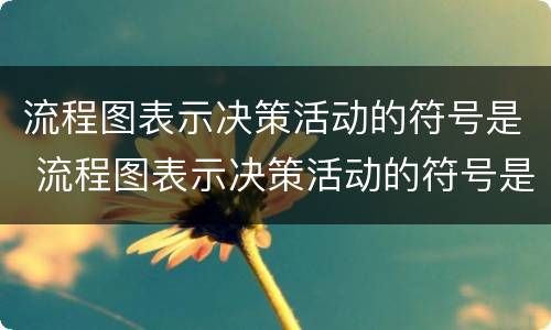 流程图表示决策活动的符号是 流程图表示决策活动的符号是什么