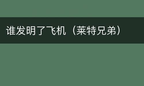 谁发明了飞机（莱特兄弟）