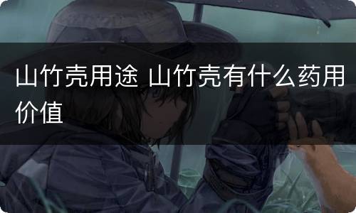 山竹壳用途 山竹壳有什么药用价值