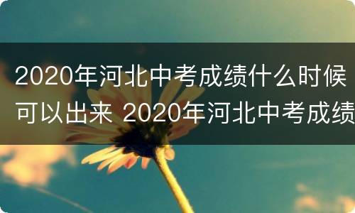 2020年河北中考成绩什么时候可以出来 2020年河北中考成绩查询时间