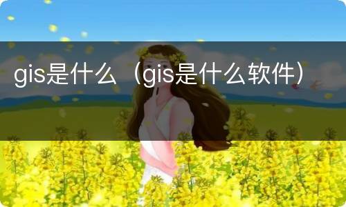 gis是什么（gis是什么软件）