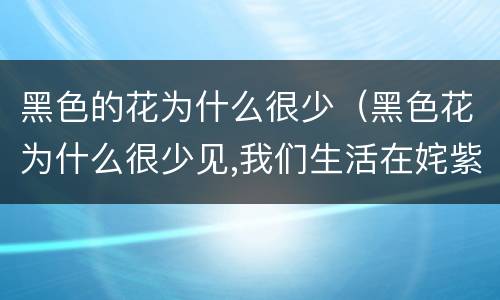 黑色的花为什么很少（黑色花为什么很少见,我们生活在姹紫嫣红）
