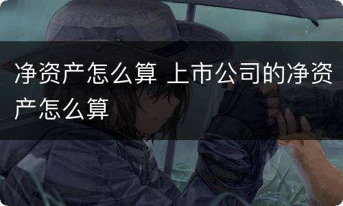 净资产怎么算 上市公司的净资产怎么算