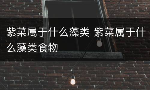 紫菜属于什么藻类 紫菜属于什么藻类食物