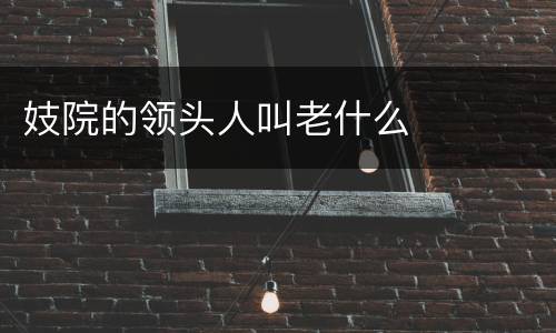 妓院的领头人叫老什么