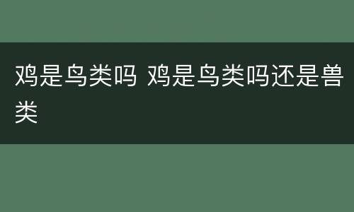 鸡是鸟类吗 鸡是鸟类吗还是兽类