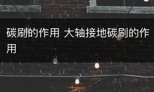 碳刷的作用 大轴接地碳刷的作用