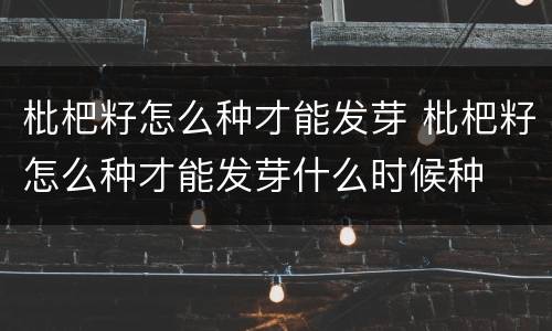 枇杷籽怎么种才能发芽 枇杷籽怎么种才能发芽什么时候种