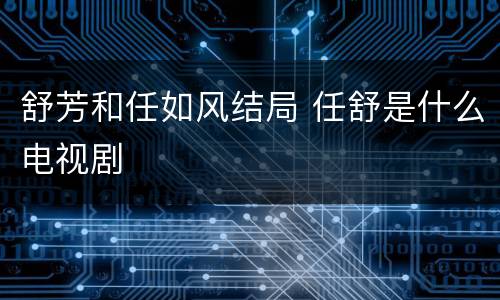 舒芳和任如风结局 任舒是什么电视剧
