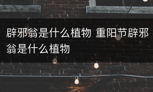 辟邪翁是什么植物 重阳节辟邪翁是什么植物