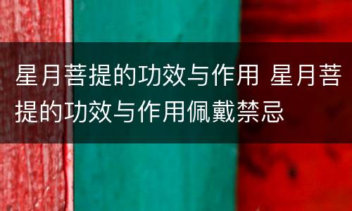 星月菩提的功效与作用 星月菩提的功效与作用佩戴禁忌