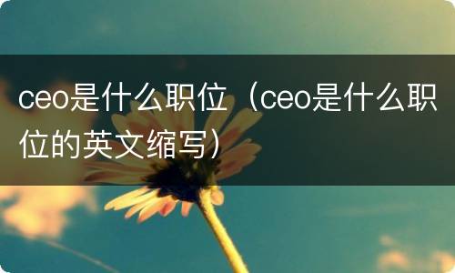 ceo是什么职位（ceo是什么职位的英文缩写）