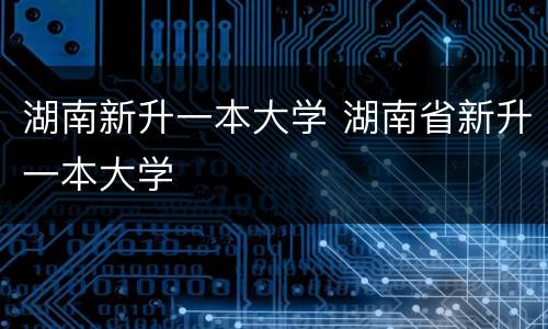 湖南新升一本大学 湖南省新升一本大学