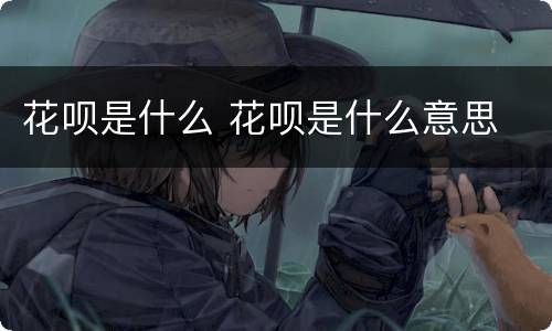 花呗是什么 花呗是什么意思