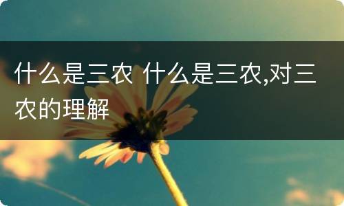 什么是三农 什么是三农,对三农的理解