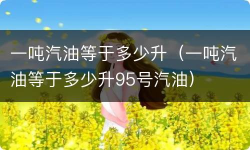 一吨汽油等于多少升（一吨汽油等于多少升95号汽油）