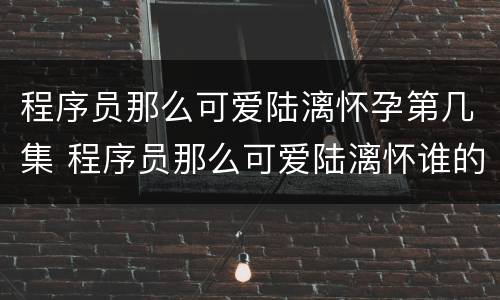程序员那么可爱陆漓怀孕第几集 程序员那么可爱陆漓怀谁的孩子