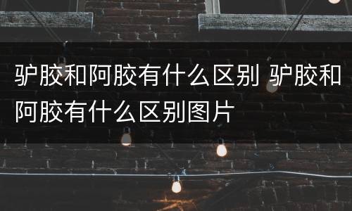驴胶和阿胶有什么区别 驴胶和阿胶有什么区别图片
