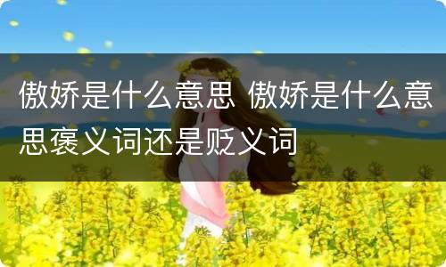 傲娇是什么意思 傲娇是什么意思褒义词还是贬义词