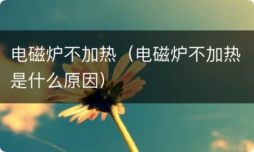 电磁炉不加热（电磁炉不加热是什么原因）