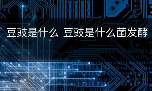 豆豉是什么 豆豉是什么菌发酵
