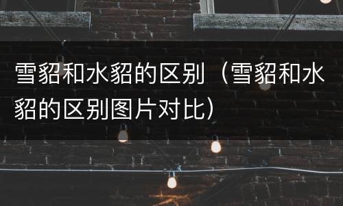 雪貂和水貂的区别（雪貂和水貂的区别图片对比）