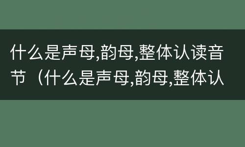 什么是声母,韵母,整体认读音节（什么是声母,韵母,整体认读音节表）
