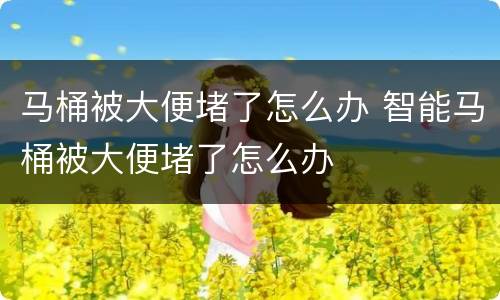 马桶被大便堵了怎么办 智能马桶被大便堵了怎么办