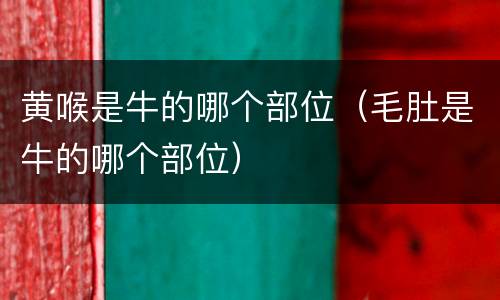 黄喉是牛的哪个部位（毛肚是牛的哪个部位）